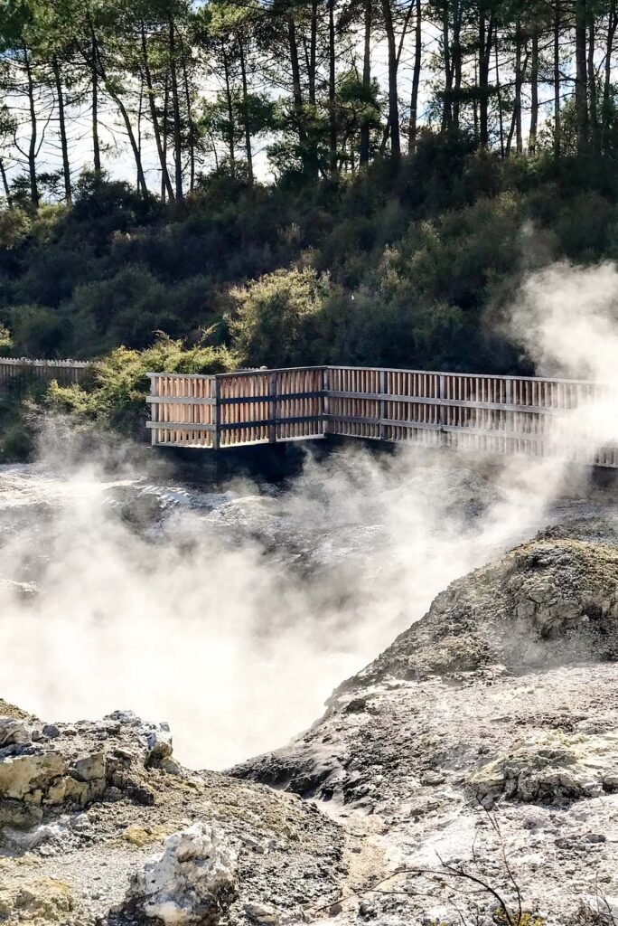 Wai-O-Tapu Thermal Wonderland in Rotorua | New Zealand's North Island in 1 Week: Road Trip Highlights and Itinerary