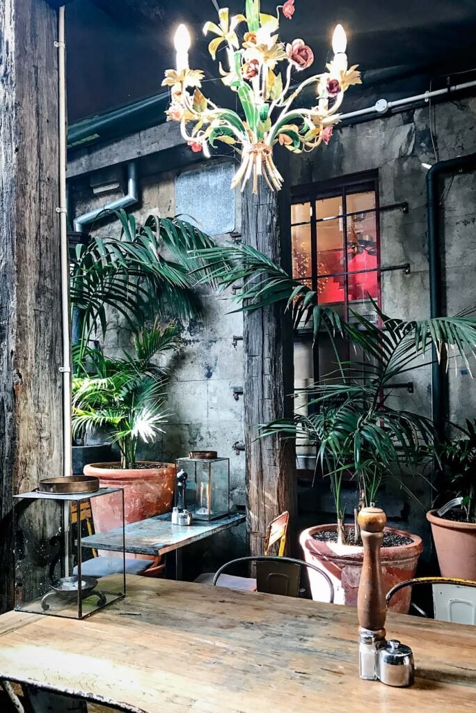 Olive restaurant in Wellington | New Zealand's North Island in 1 Week: Road Trip Highlights and Itinerary