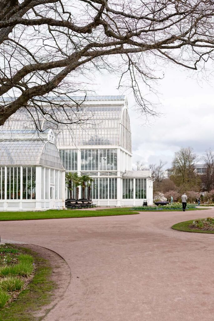 10 Food & Shopping Hotspots You Need to Know in Gothenburg | Palm House at Trädgårdsföreningen park, The garden society of Gothenburg