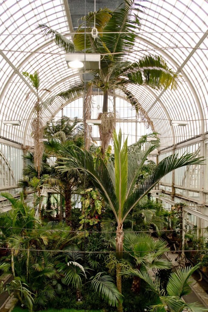 10 Food & Shopping Hotspots You Need to Know in Gothenburg | Palm House at Trädgårdsföreningen park, The garden society of Gothenburg