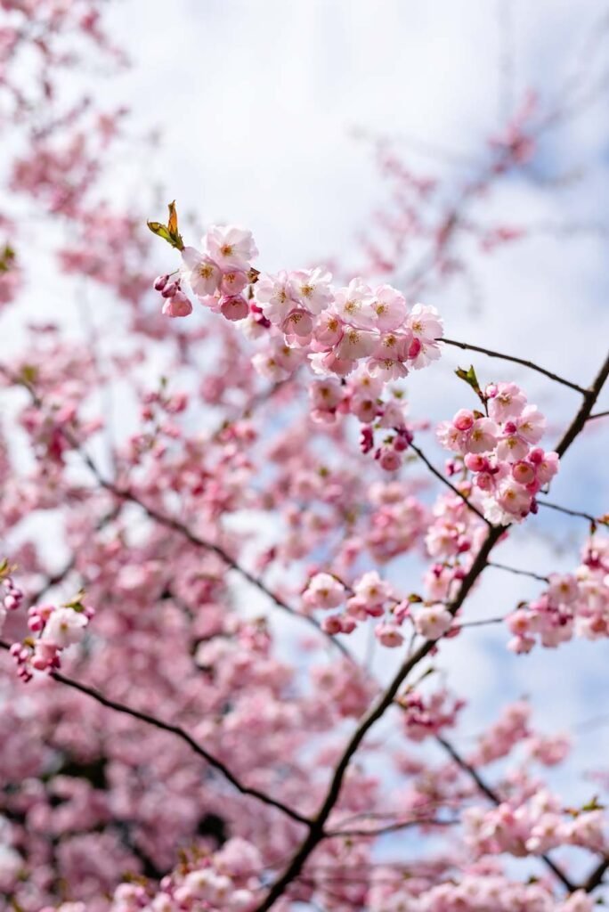 10 Food & Shopping Hotspots You Need to Know in Gothenburg