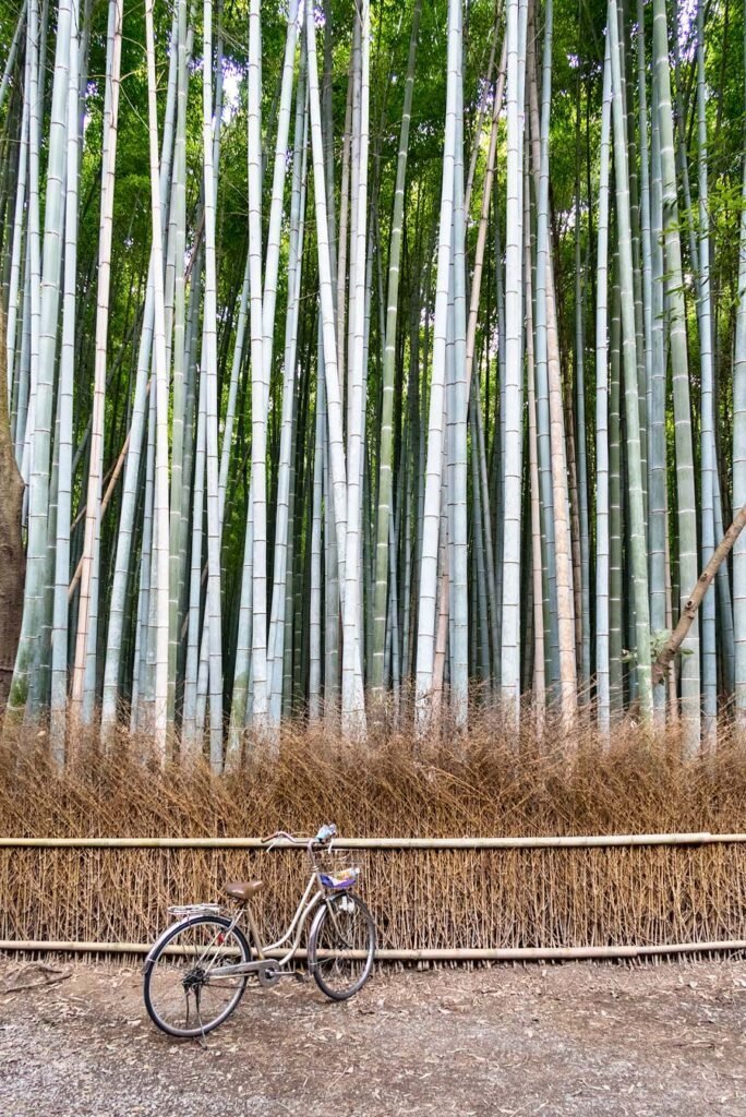 Arashiyama Bamboo Grove in Kyoto. Read more about My 8 Favorite Things to Do and See in Kyoto on Urban Pixxels.