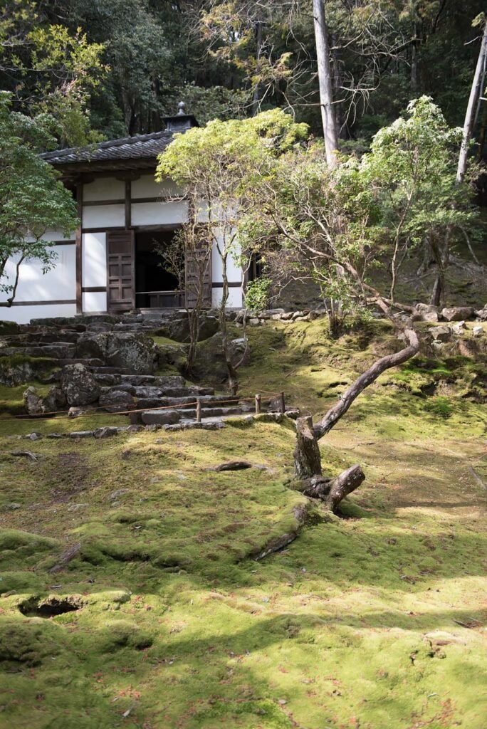 Moss Temple Saiho-ji in Kyoto. Read more about My 8 Favorite Things to Do and See in Kyoto on Urban Pixxels.
