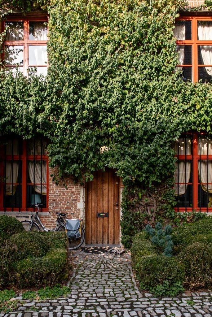 House covered with plants at the beguinage (Begijnhof) in Mechelen. Read my blog post '11 Great Things to Do in Mechelen, Belgium' for more tips