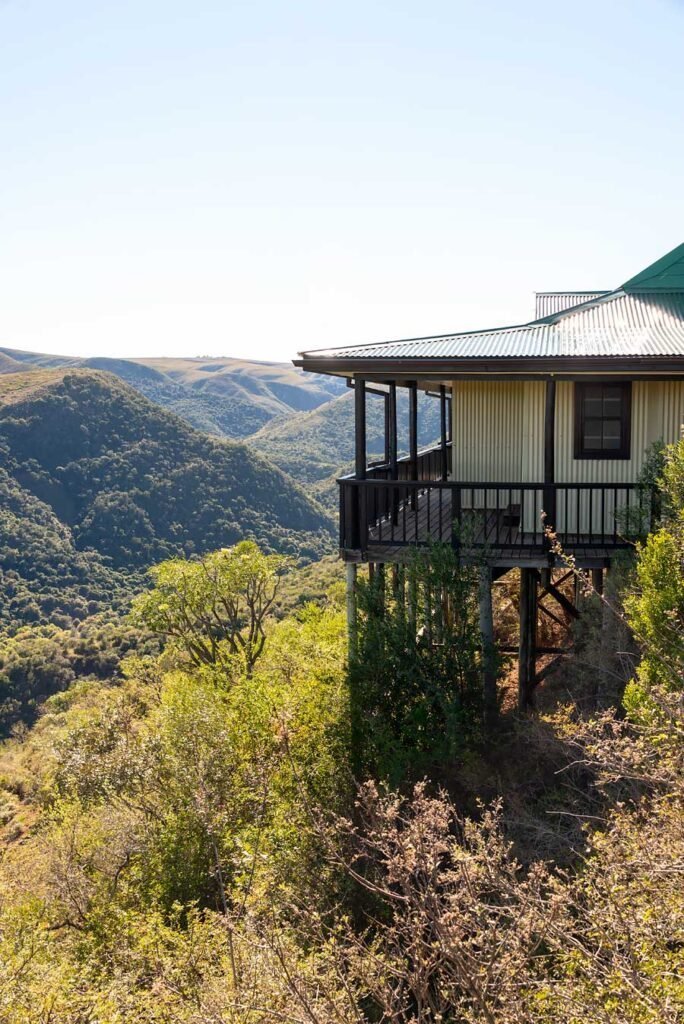 Camp Figtree, a luxury hotel near Addo Elephant Park. South Africa in 3 Weeks | The Perfect South Africa itinerary for your first trip.