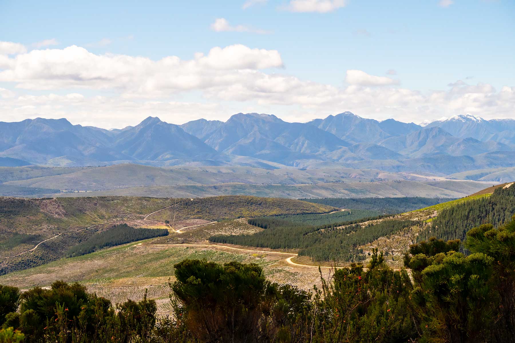 Garden Route. Viewpoint at Spitskop. South Africa in 3 Weeks | The Perfect South Africa itinerary for your first trip.