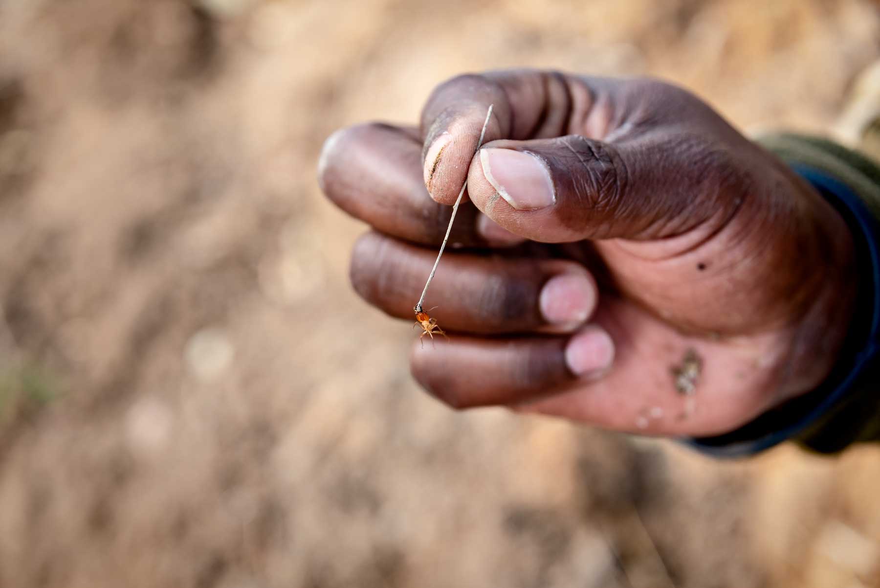 Bush walk at Phelwana Game Lodge near Kruger Park. South Africa in 3 Weeks | The Perfect South Africa itinerary for your first trip.