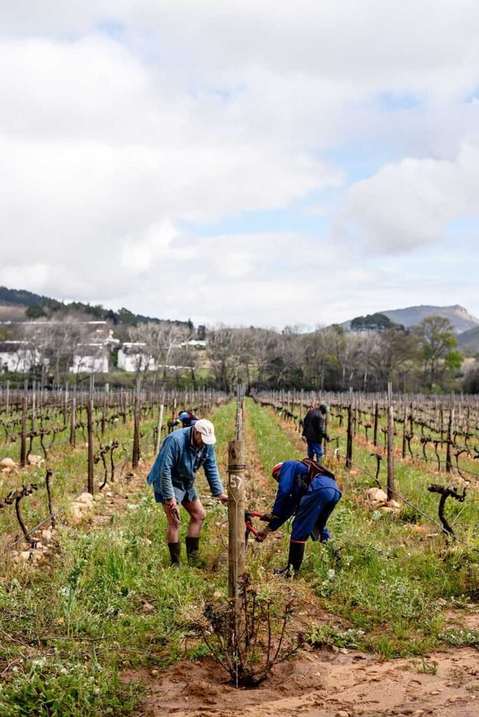 Holden Manz Country House and Estate in Franschhoek. South Africa in 3 Weeks | The Perfect South Africa itinerary for your first trip.