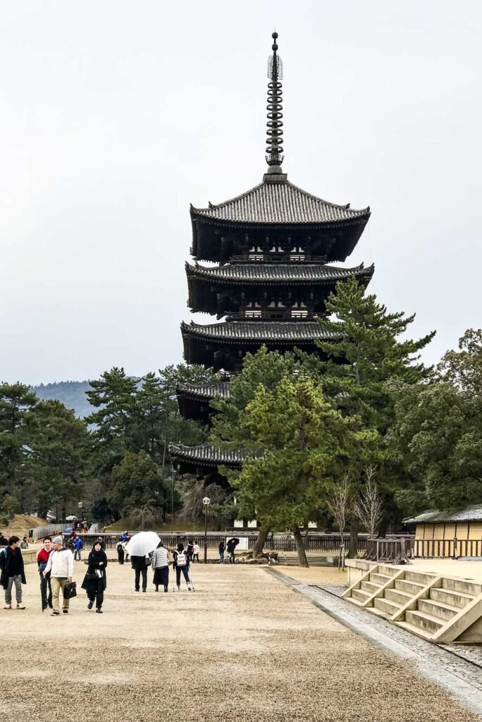 Nara Deer Park, Japan. Nara is a great day trip from Kyoto or Osaka