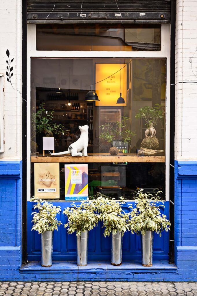Café, boekwinkel en kunstgalerie Un Gato en Bicicleta in Sevilla