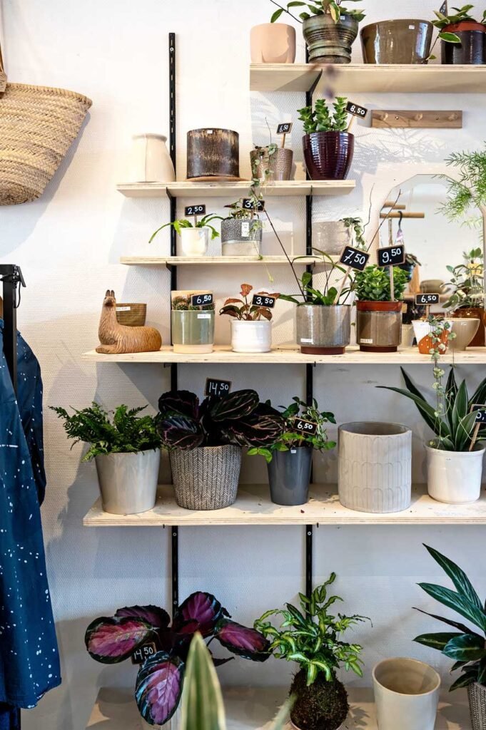 Little Green Shop by Bar &amp; Zo Prins Hendrikstraat Shoppen in Den Haag Zeeheldenkwartier
