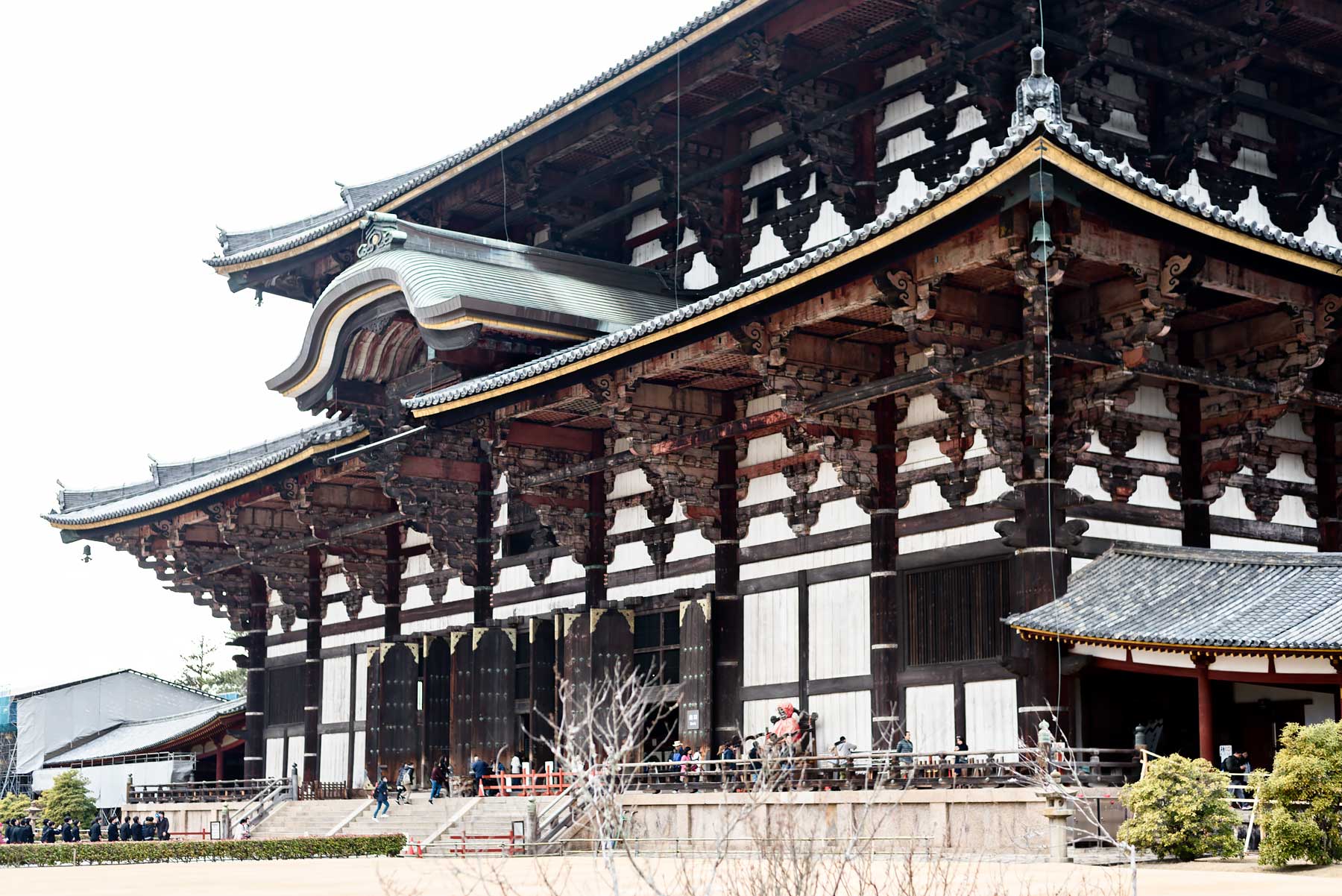 Todai-ji temple in Nara Japan