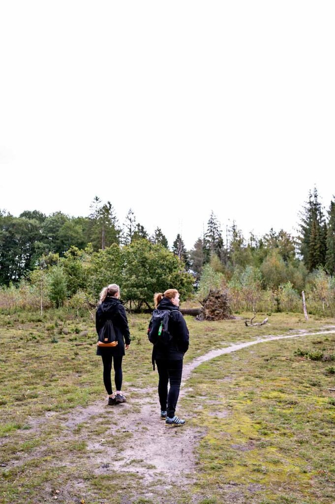 Natuurgebied Hart van Drenthe