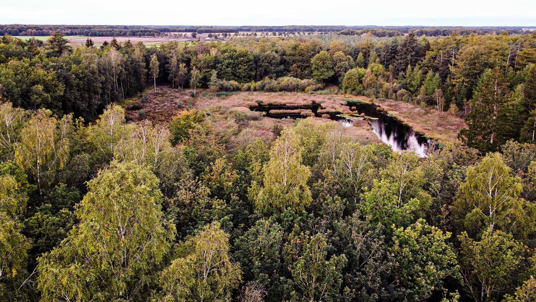Drone foto Hart van Drenthe, Nederland