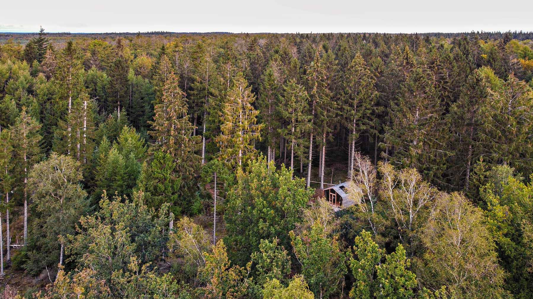 Cabiner in het bos van bovenaf gezien