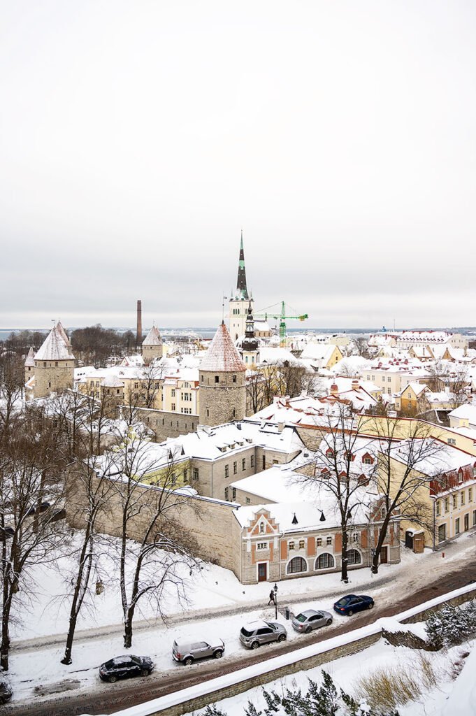 The times we had mural at Kohtuotsa viewpoint of Tallinn in Winter