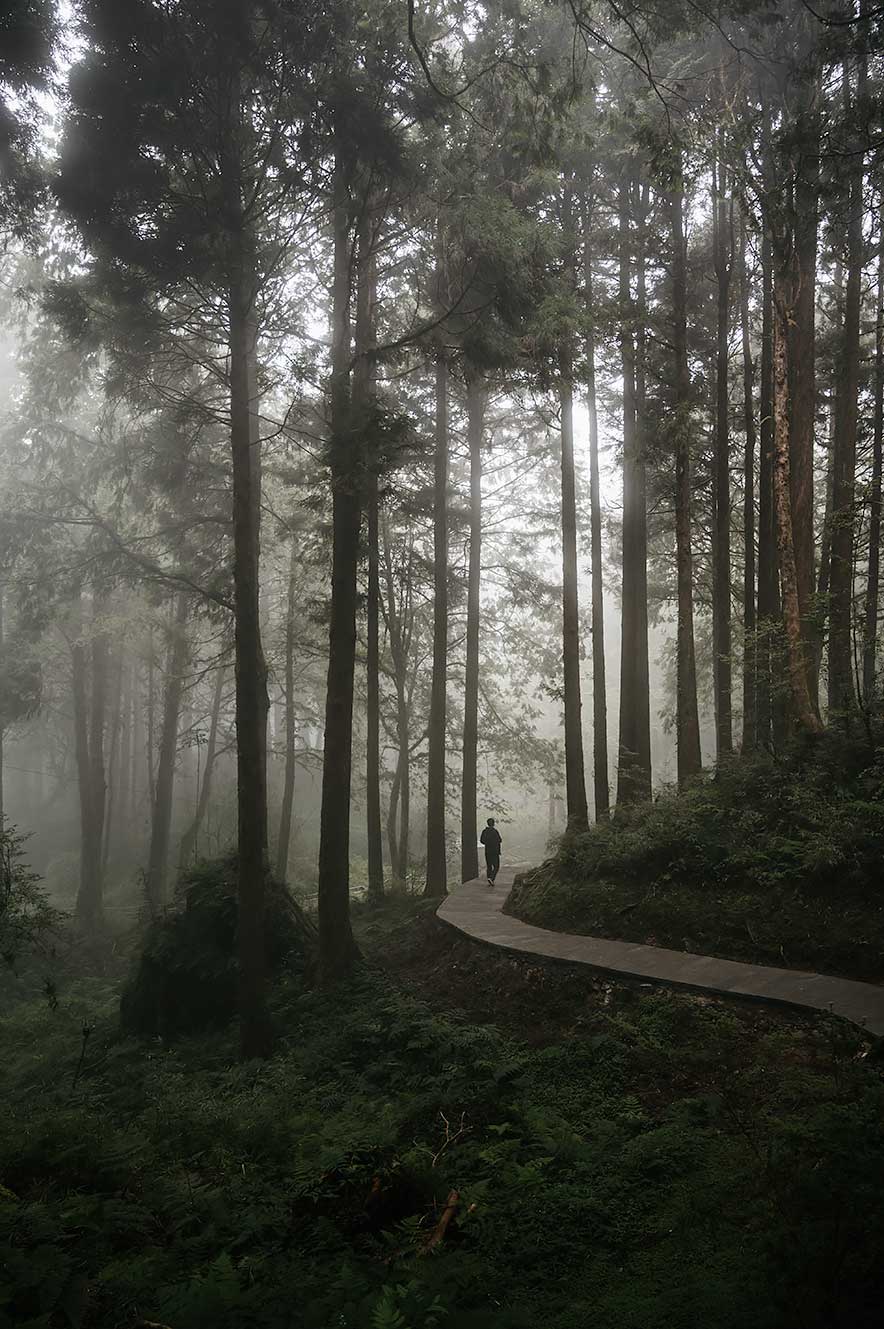 Nationaal park Alishan in Taiwan