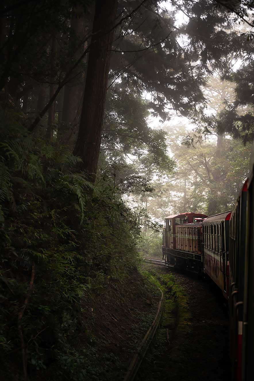 Taiwan travel tips train alishan