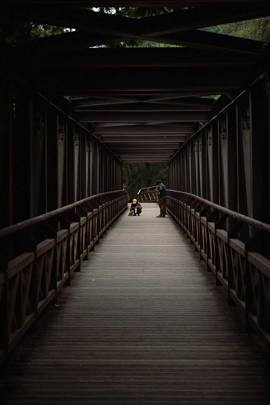 Brug bij de ingang van het park bij Alishan. Twee mensen aaien een kat.
