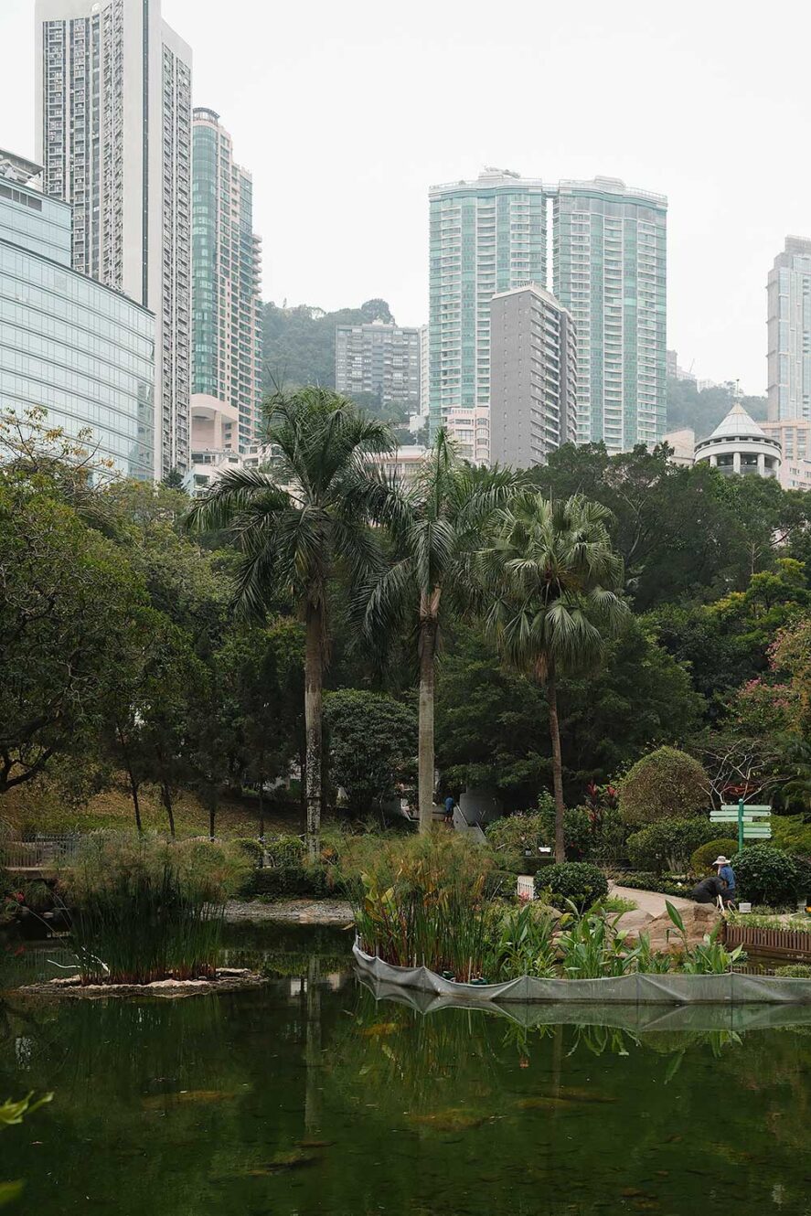 Hong Kong Park met hoge gebouwen op de achtergrond