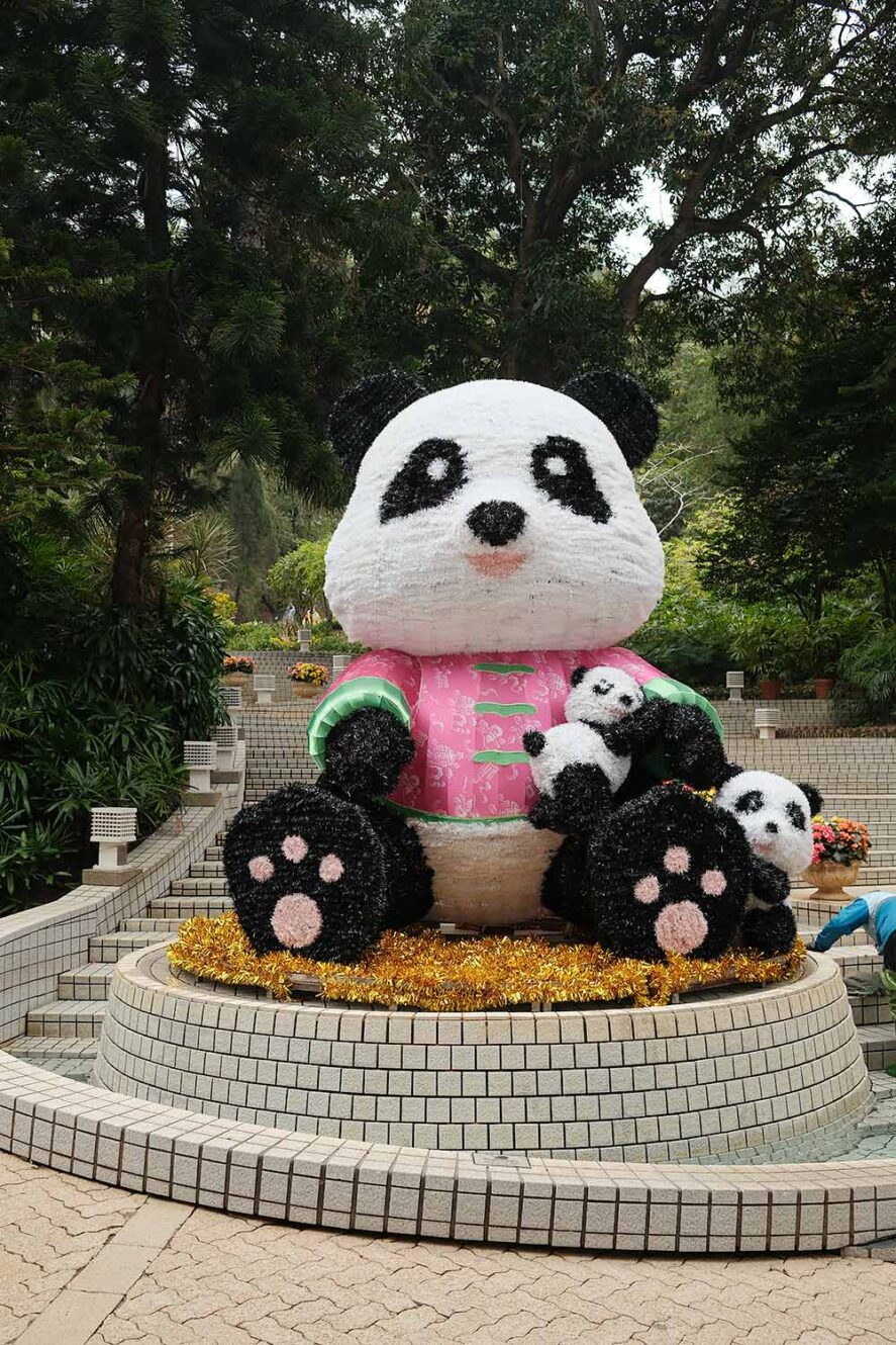 Panda in Hong Kong Park