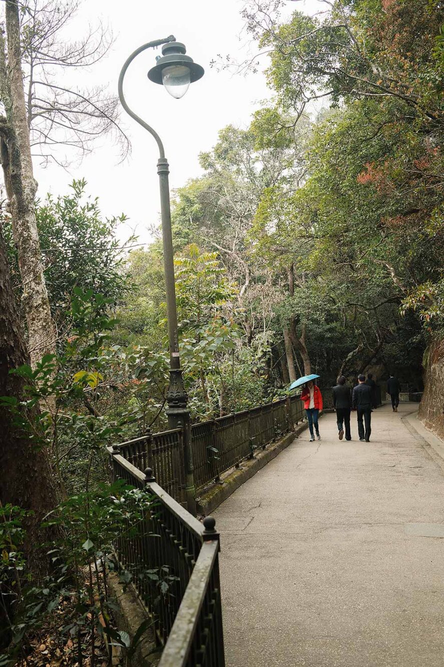 Mensen wandelen de Morning Trail richting Victoria Peak in Hong Kong