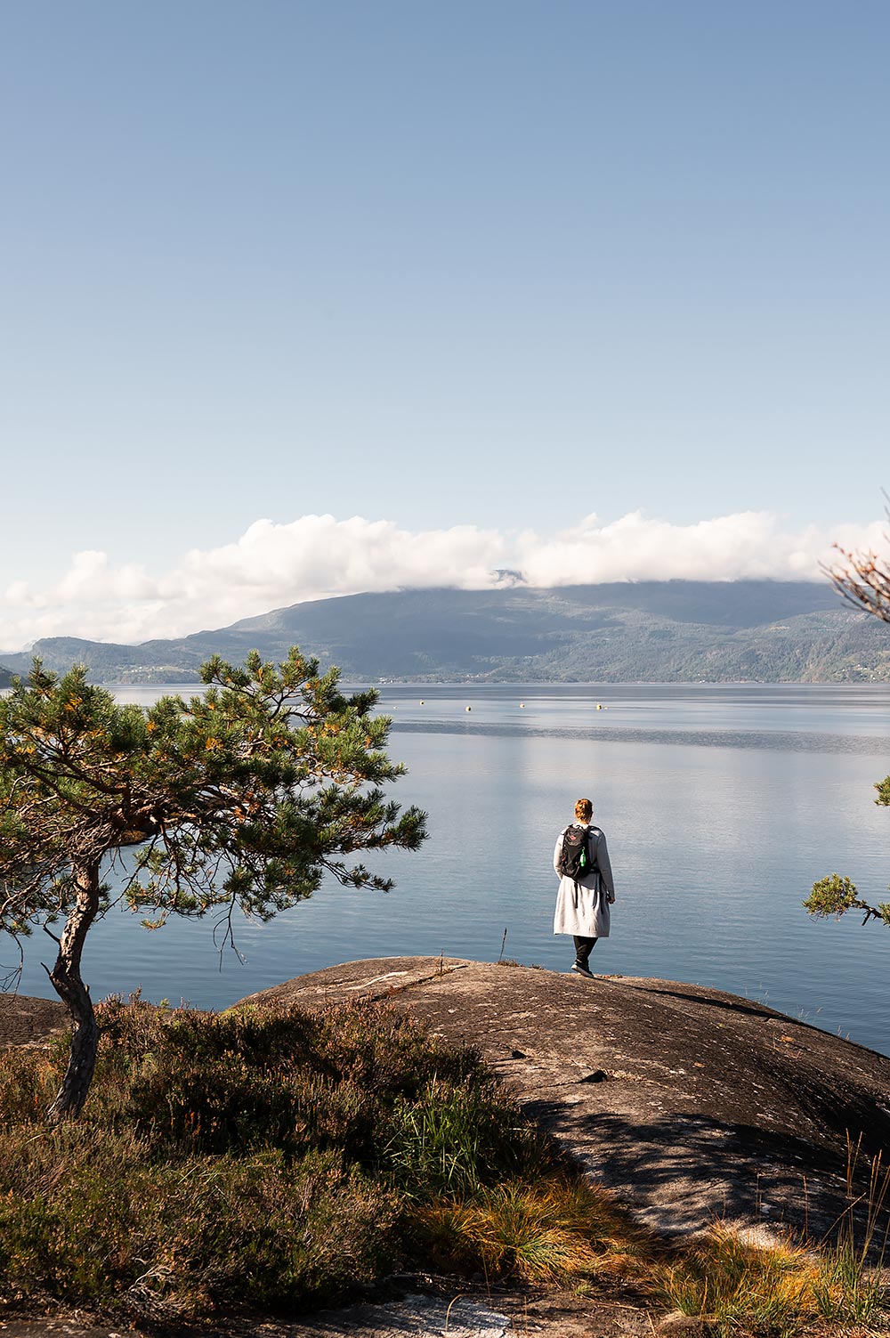 Hereiane picnickgebied aan het Hardangerfjord vlakbij Bergen