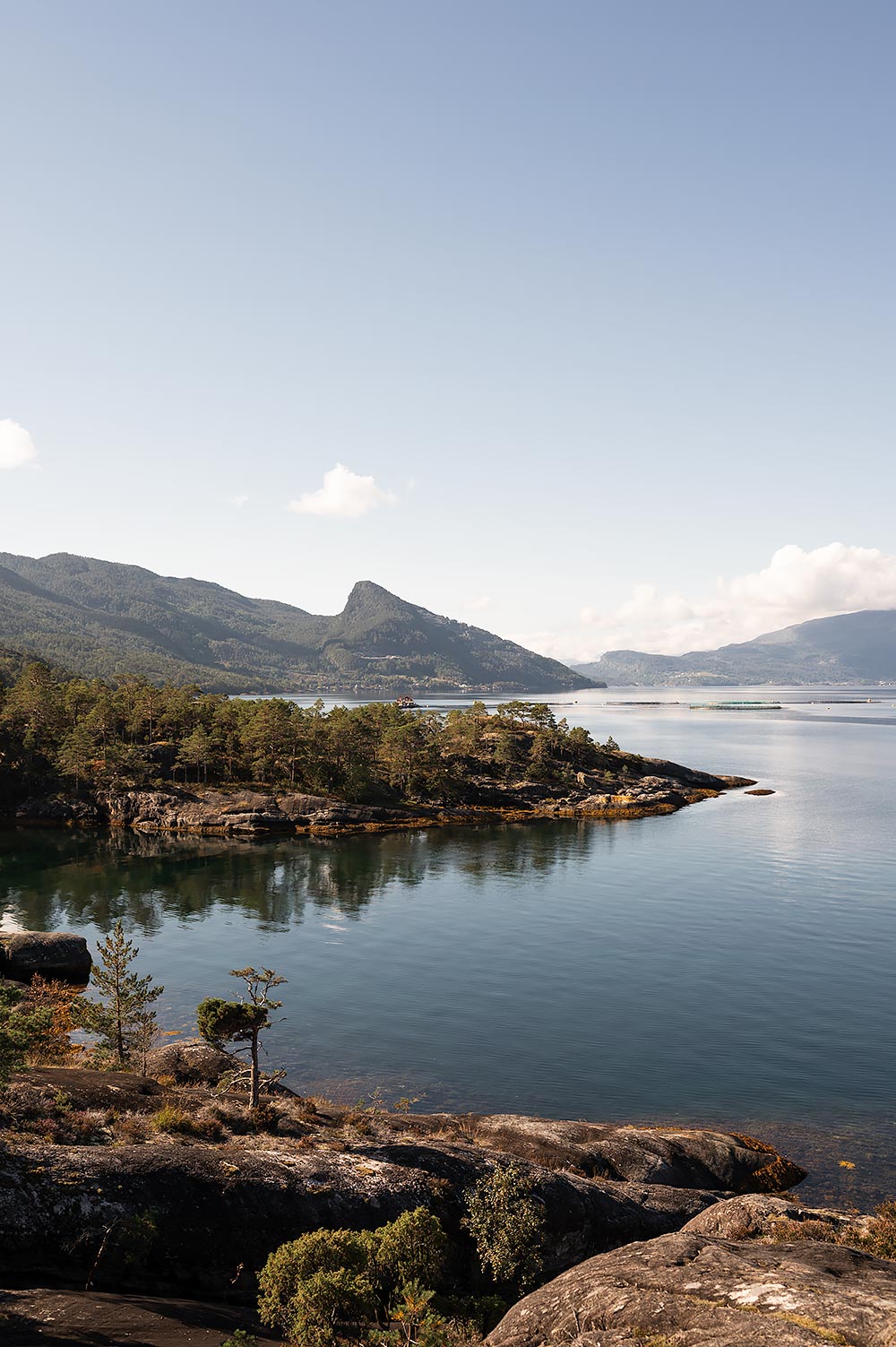 Hereiane picnickgebied aan het Hardangerfjord vlakbij Bergen