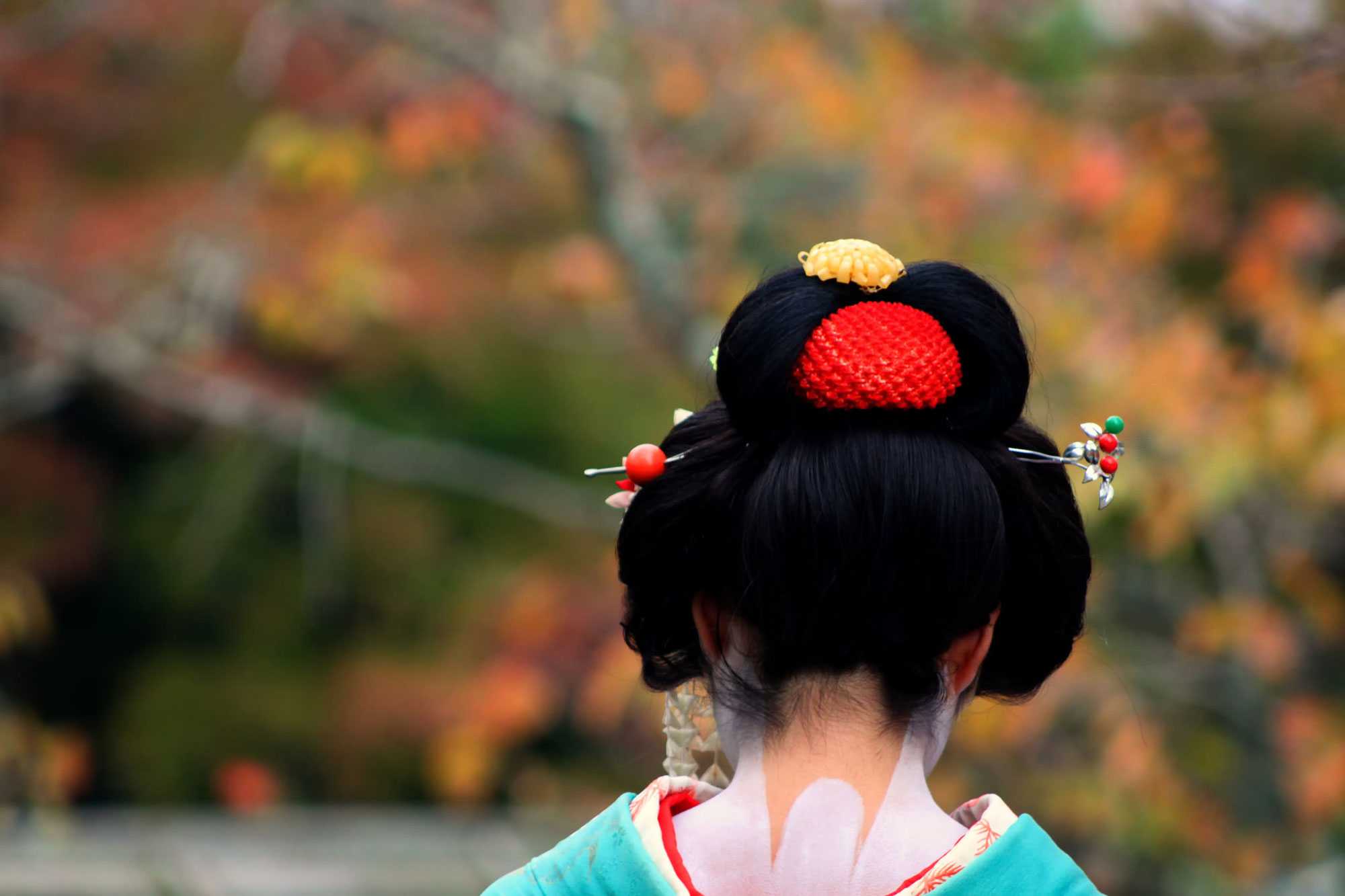 New website design and a new big adventure. My travel plans for my sabbatical.