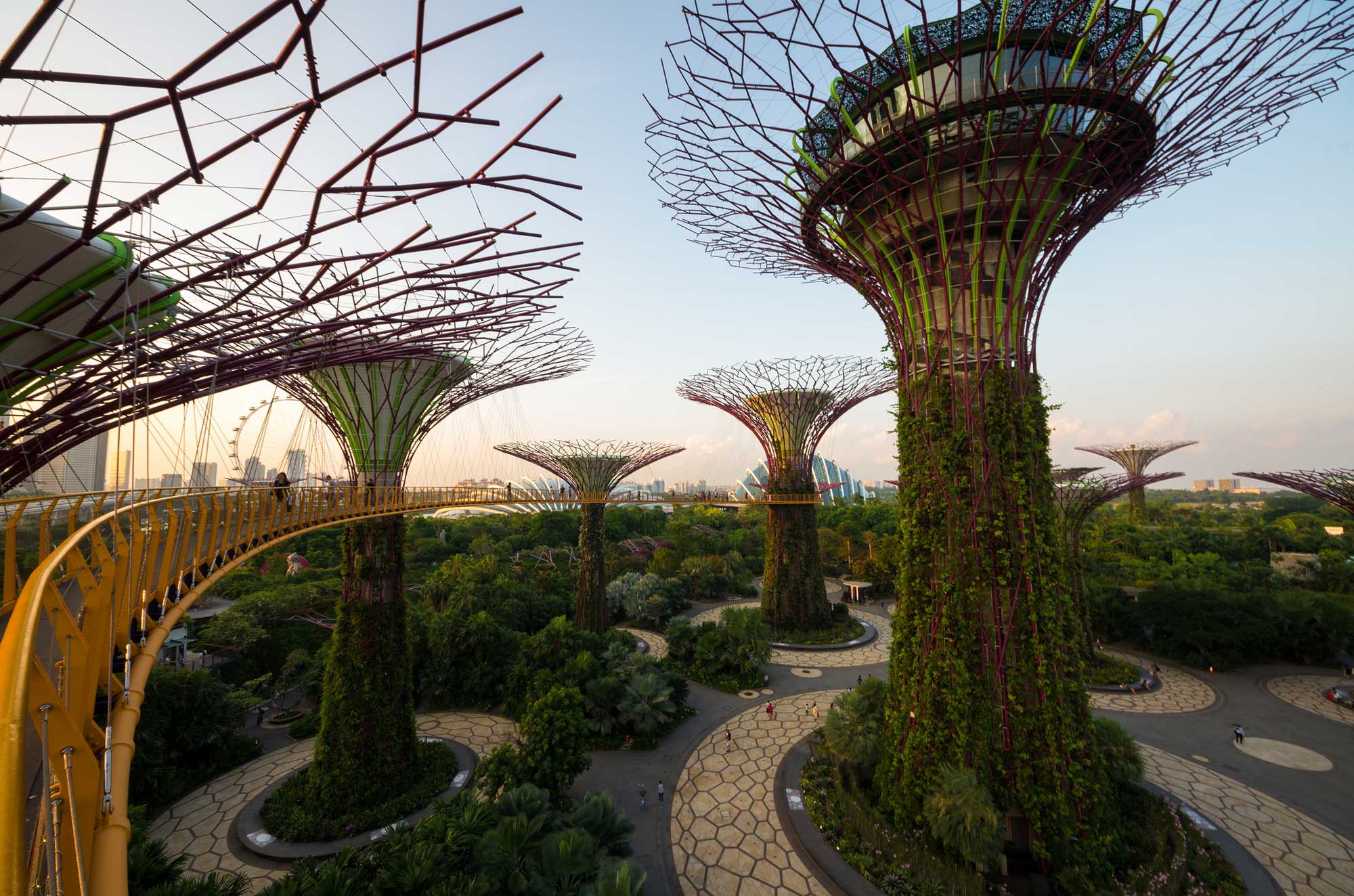 New website design and a new big adventure. My travel plans for my sabbatical.