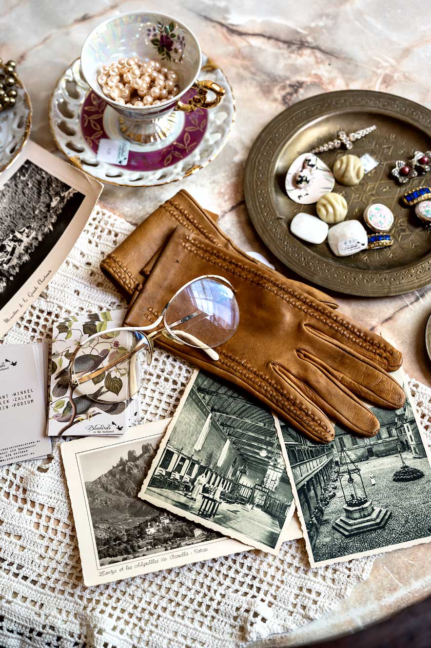 Vintage Store Bluebirds in the Backyard in Dordrecht