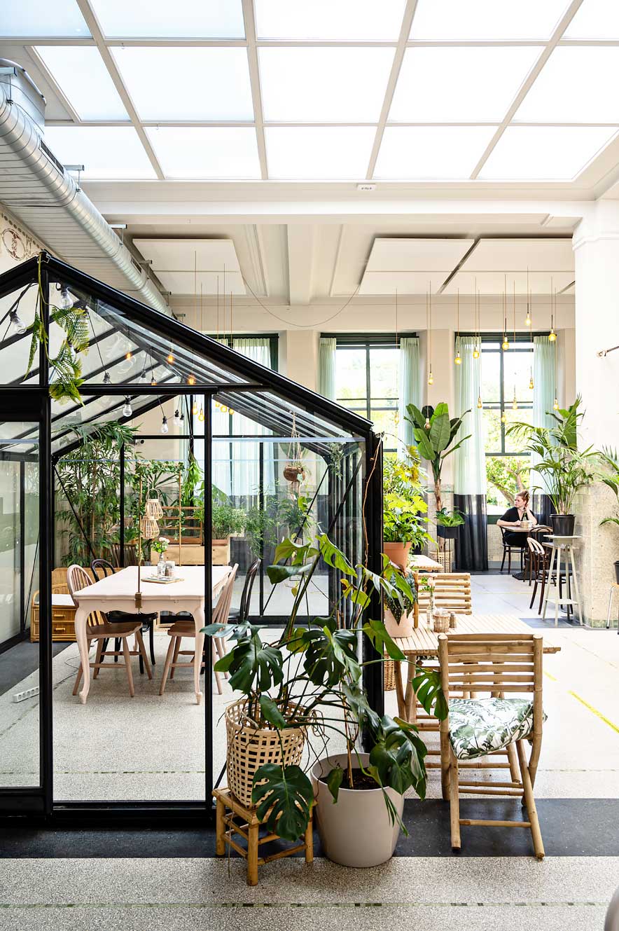 Restaurant Bluebirds in the Backyard in Dordrecht