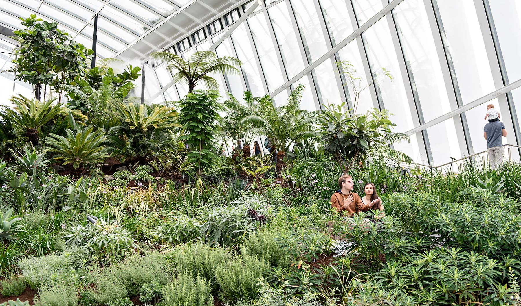 The Sky Garden at the top of the Walkie Talkie in London. A public open space and garden with spectacular views.
