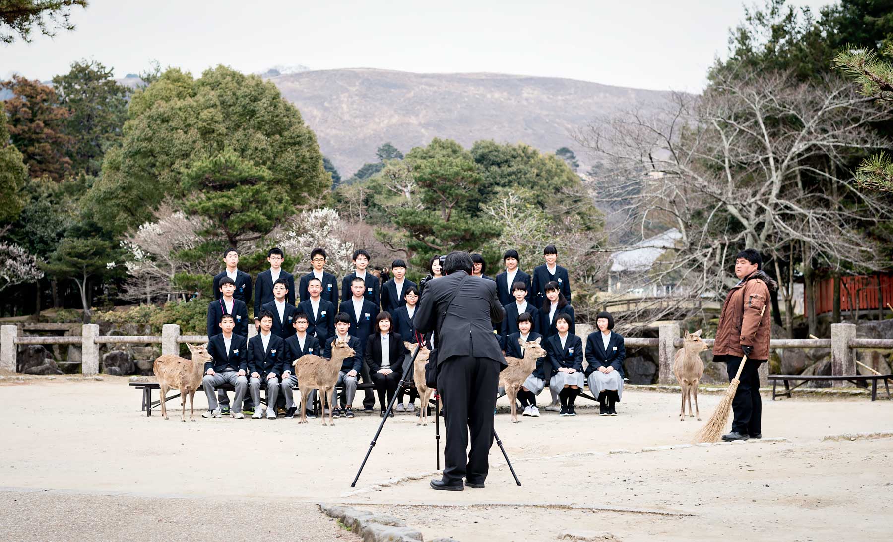 School taking a group photo with the deer in Nara Deer Park, Japan. Nara is a great day trip from Kyoto or Osaka