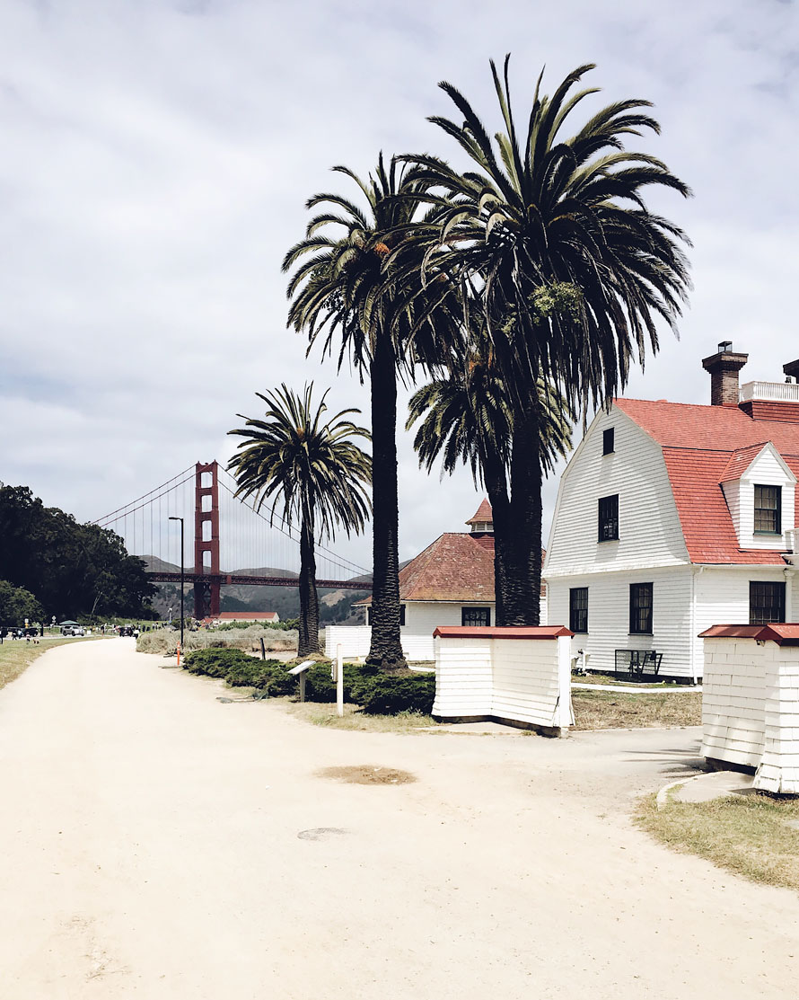 Golden Gate Bridge and Palm Trees in San Francisco.