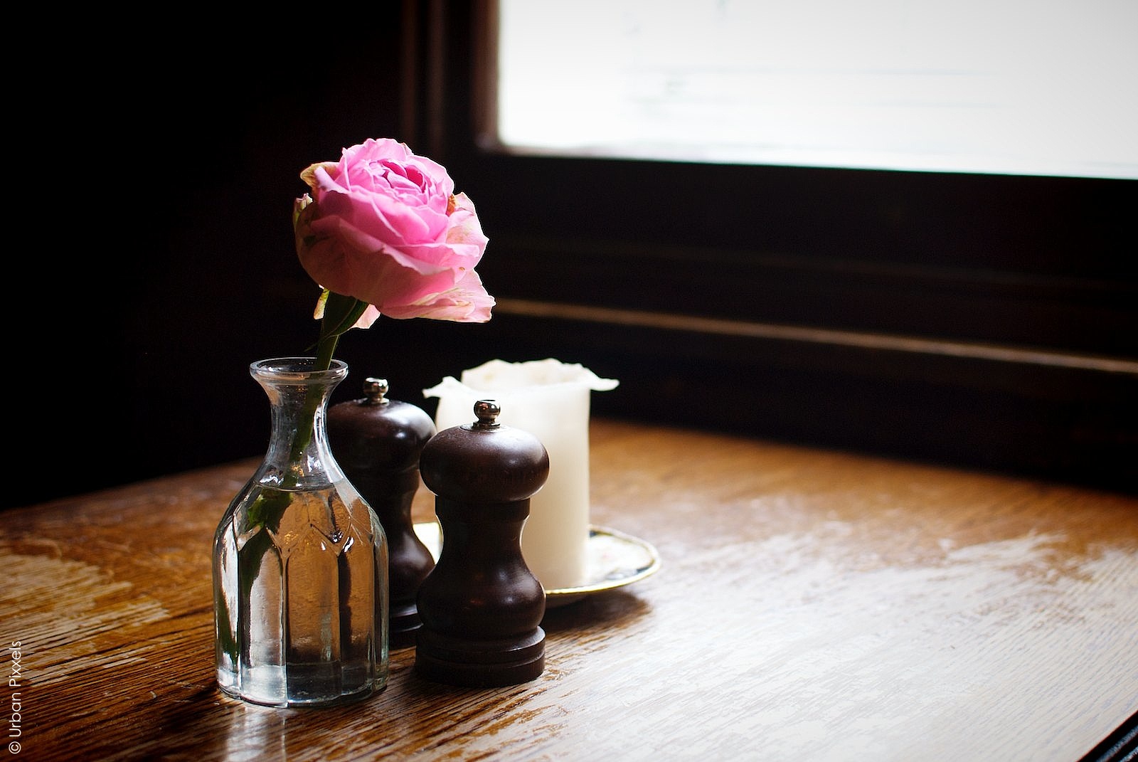 Old Hampstead Village_The Holly Bush