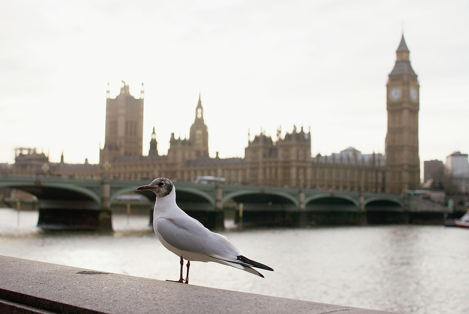 Houses of Parliament Thames