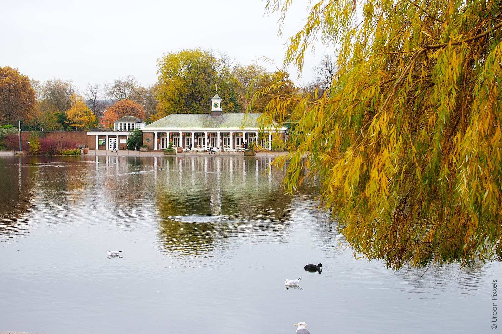 Hyde Park Serpentine