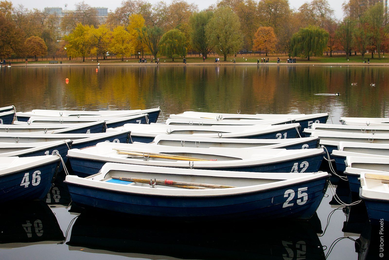 Boats in the Serpentine at Hyde Park