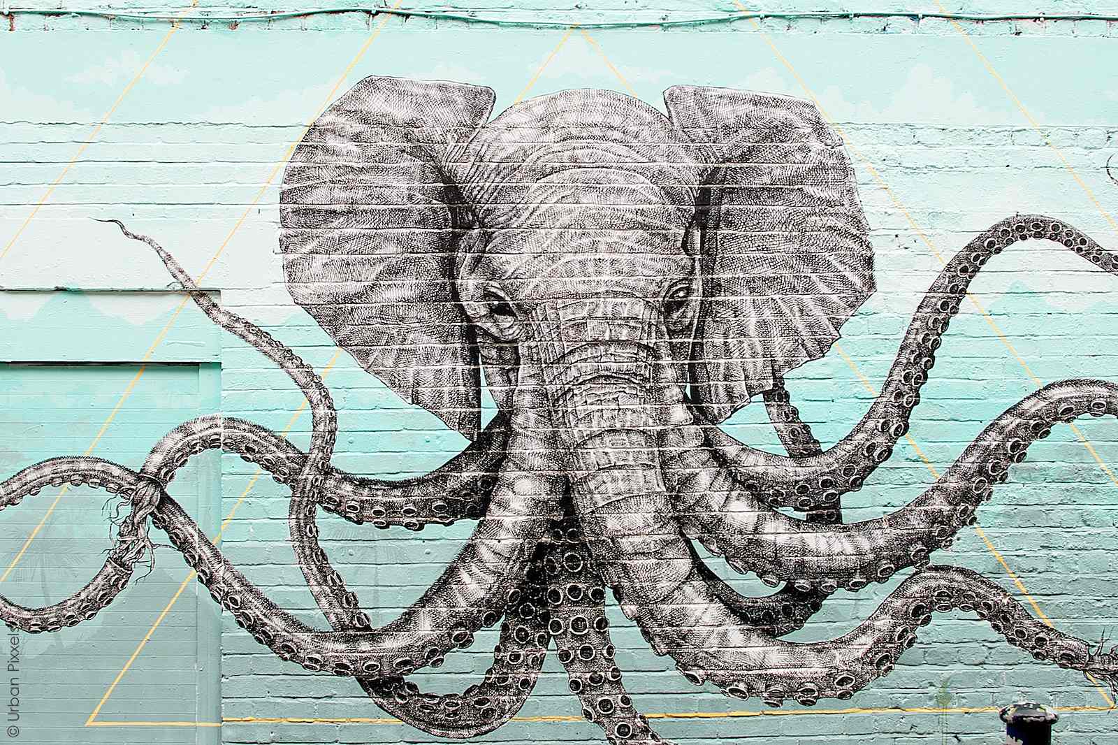 Elephant-Octopus street art by Alexis Diaz