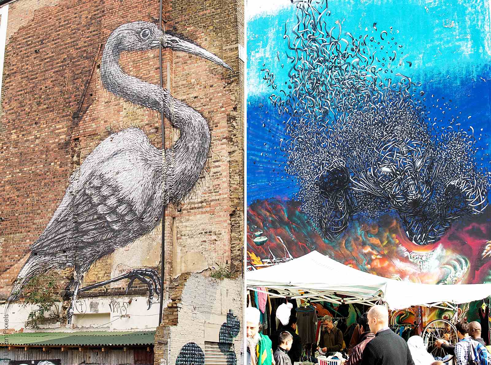 Street Art London Roa Bird