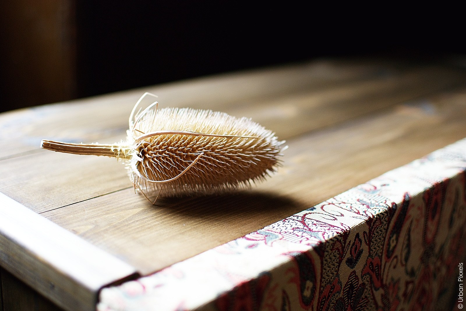 Sutton House in Hackney, London