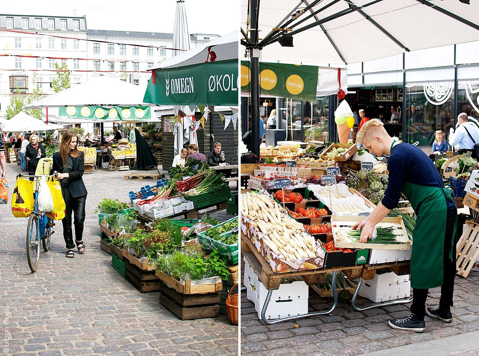 Torvehallerne food market in Copenhagen