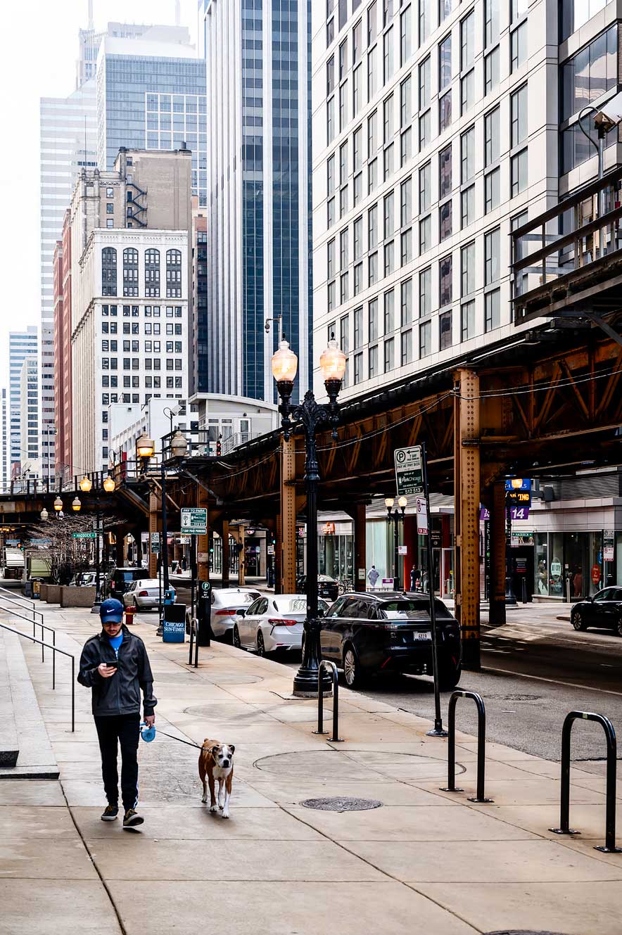 Man walking his dog in Chicago - shot with the Nikon Z6